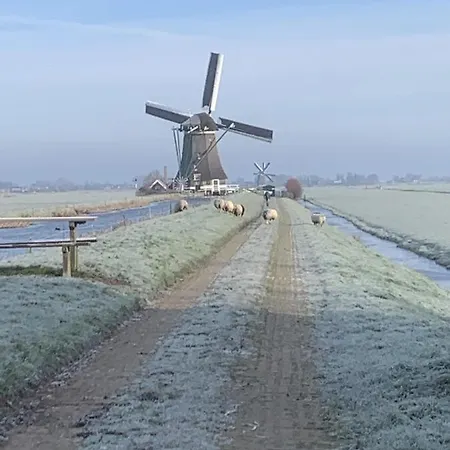 Aangenaam Op De Rijn, Woonboot, Inclusief Prive Sauna *