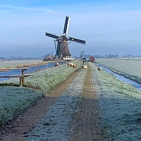 Botel Aangenaam Op De Rijn, Woonboot, Inclusief Prive Sauna *