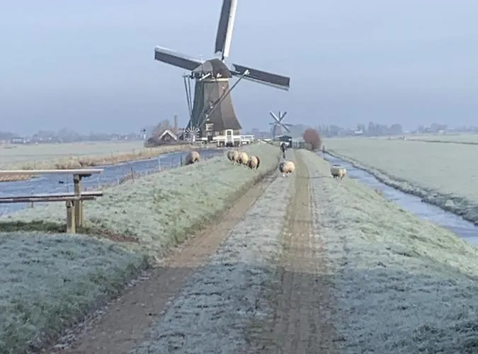 Aangenaam Op De Rijn, Woonboot, Inclusief Prive Sauna *