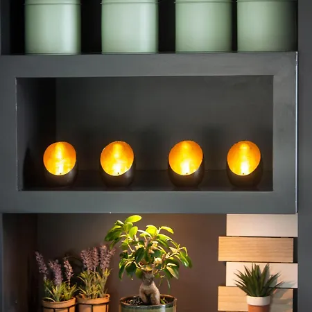 船屋 Aangenaam Op De Rijn, Woonboot, Inclusief Prive Sauna