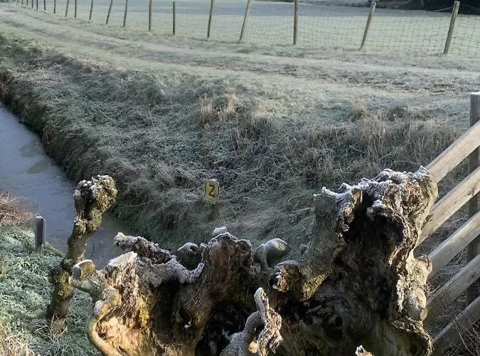 船屋 Aangenaam Op De Rijn, Woonboot, Inclusief Prive Sauna *